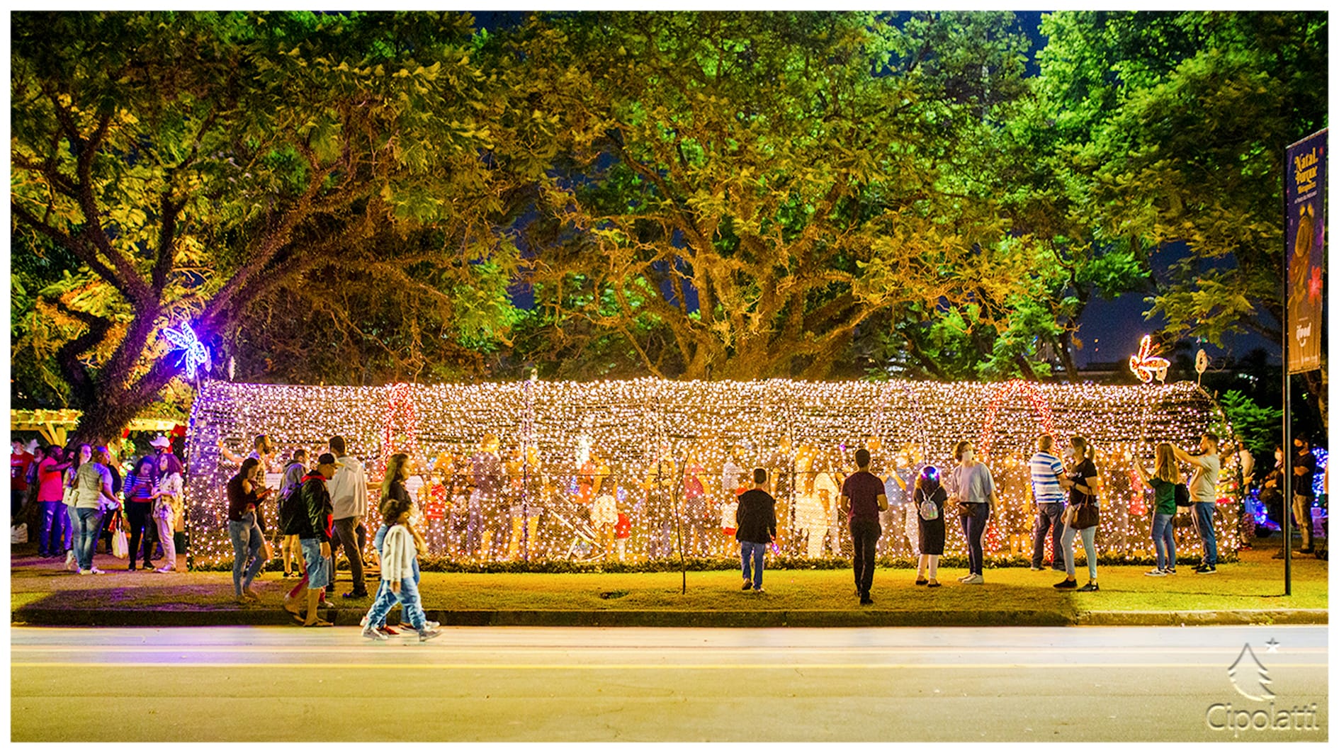 Parque Ibirapuera • 2021