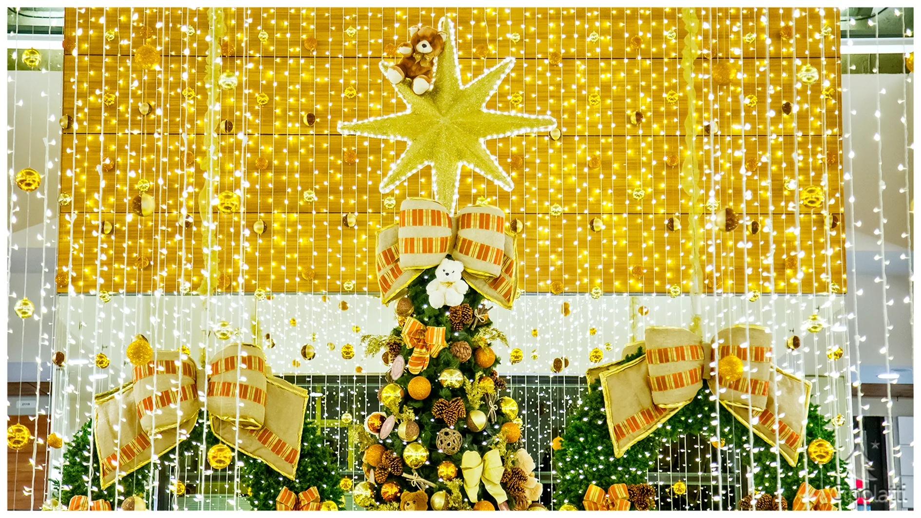 Praça_PA_Encantado_Ursos_PKC_17 (21)