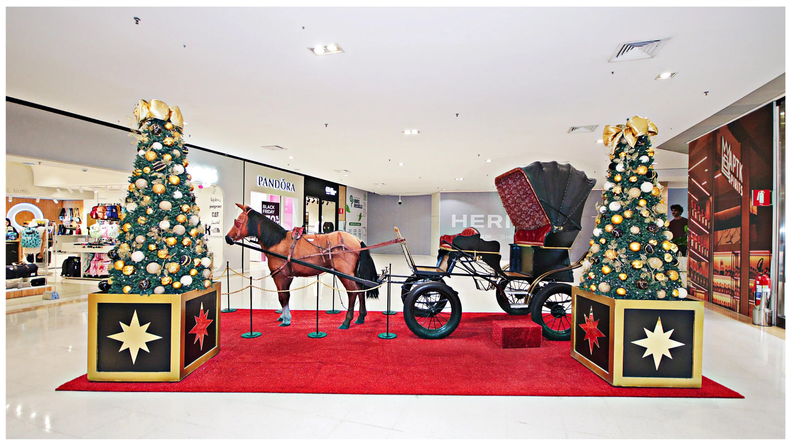 Cipolatti-Shopping Piedade